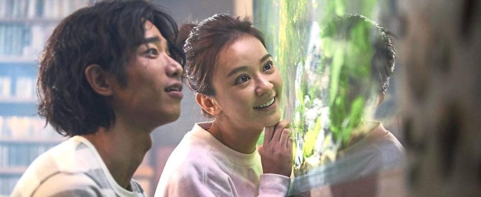 jasper liu chen yi han